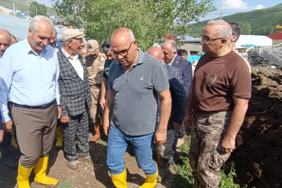 Ağrı Valisi Koç'tan sel bölgesinde inceleme