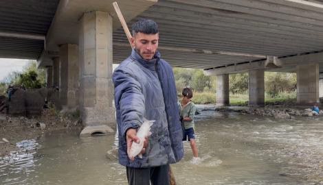 Karasu Nehri'nde balık ölümleri