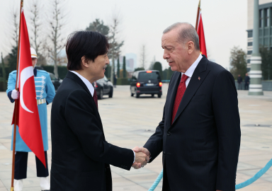 Cumhurbaşkanı Erdoğan, Japonya Veliaht Prensi Fumihito'yu kabul etti