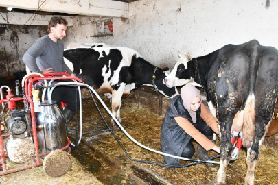 Köye yerleşen Gülizar devlet desteğiyle çiftlik kurdu; inek sayısı 12'ye çıktı, yumurta ve bal da üretiyor